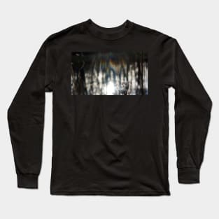 Queen Anne's Lace in Winter Long Sleeve T-Shirt
